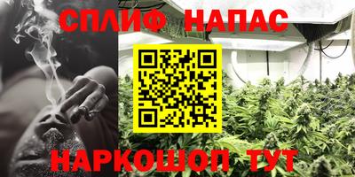 сатива Ливны