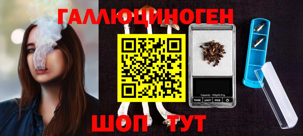Галлюциногенные грибы Psilocybe  Вход с VPN  закладка  Елабуга 